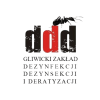 logo ddd